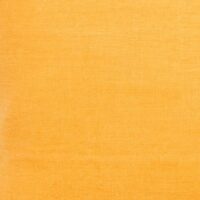 Couleur FAUVE