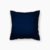 Coussin Lin Fauve 40×60