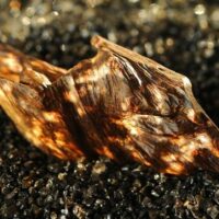 Bougie Parfumée Agar - Oud (SANS ETUI) - Thumbnail Image 2