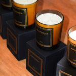 la nouvelle collection apotheca